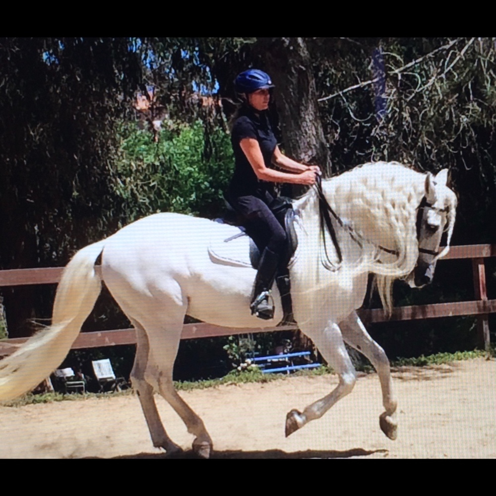 Meet your Posher, Anna-leigh